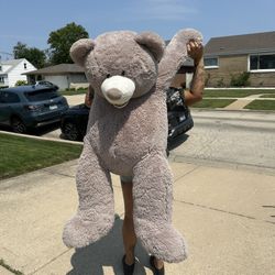 Giant Teddy Bear