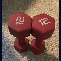 12 pound dumbbell- Resistance Bands free