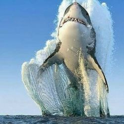 Cabotine Perfume for Women 