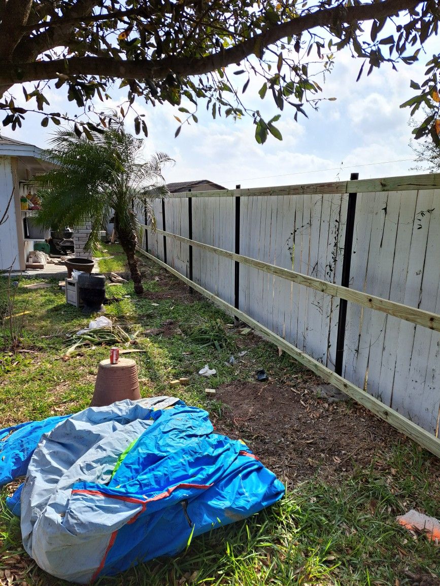 New Fence Cedar Treated