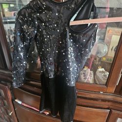 Sparkly  Little Dress