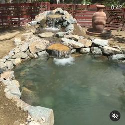 Pond Expert