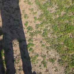 Free Painting Drop Cloths 