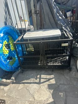 Dog Cage