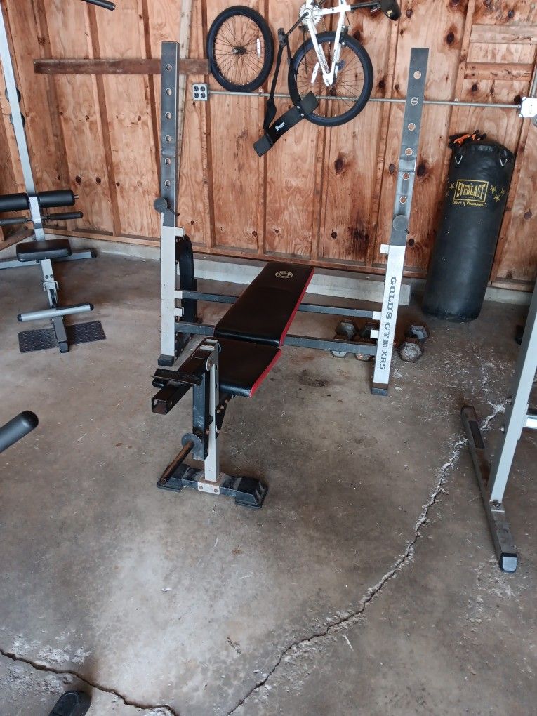 Weight Bench And Dip Bar