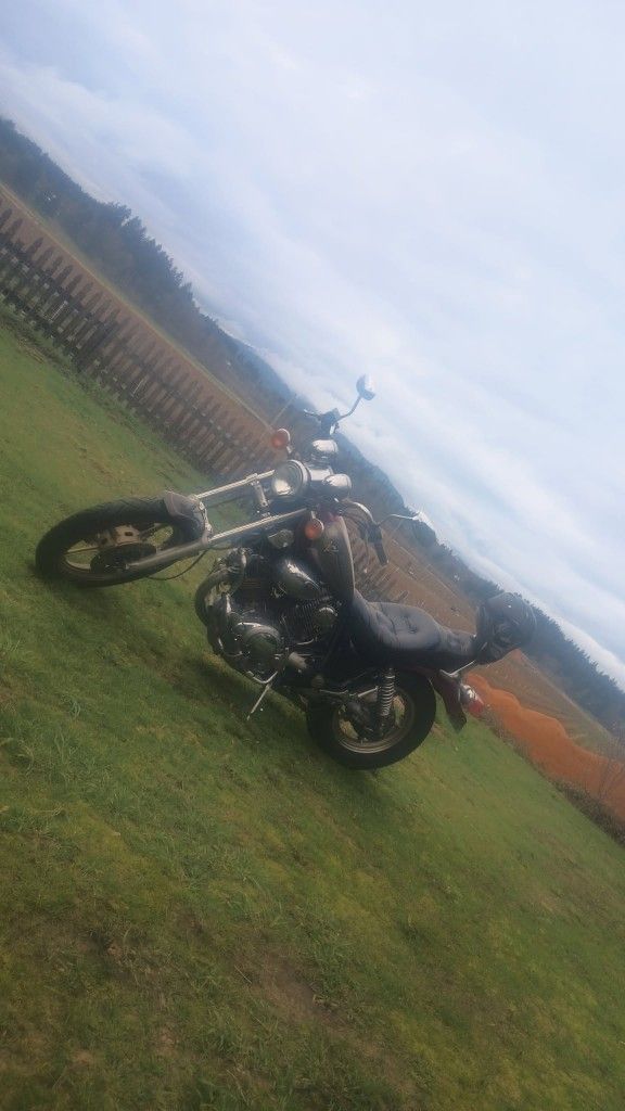 1999 Yamaha Virago