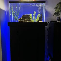 10 Gallon Fish Tank Stand