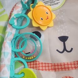 Baby Activity Gym