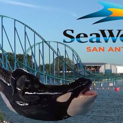 Sea World Tickets 