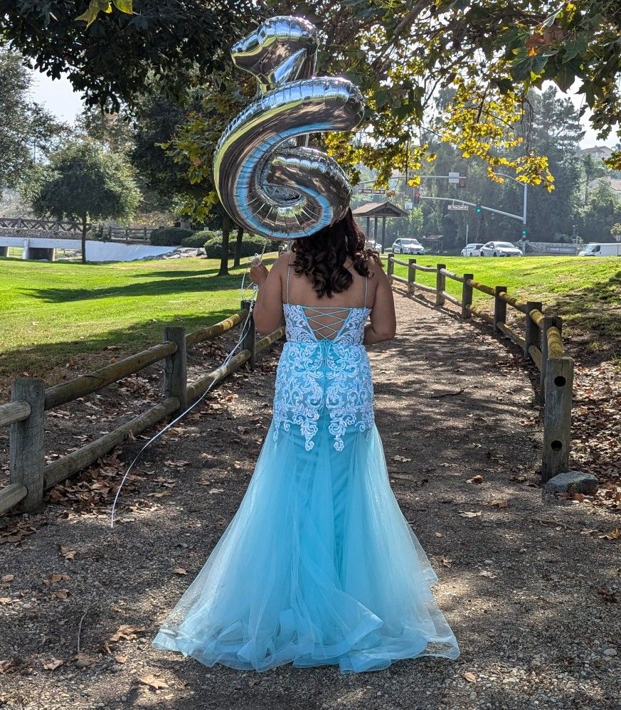 Prom Dress Size 16