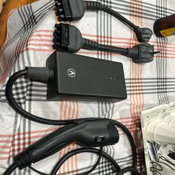 Oem Zdx Electric Charger With 2 Adapters