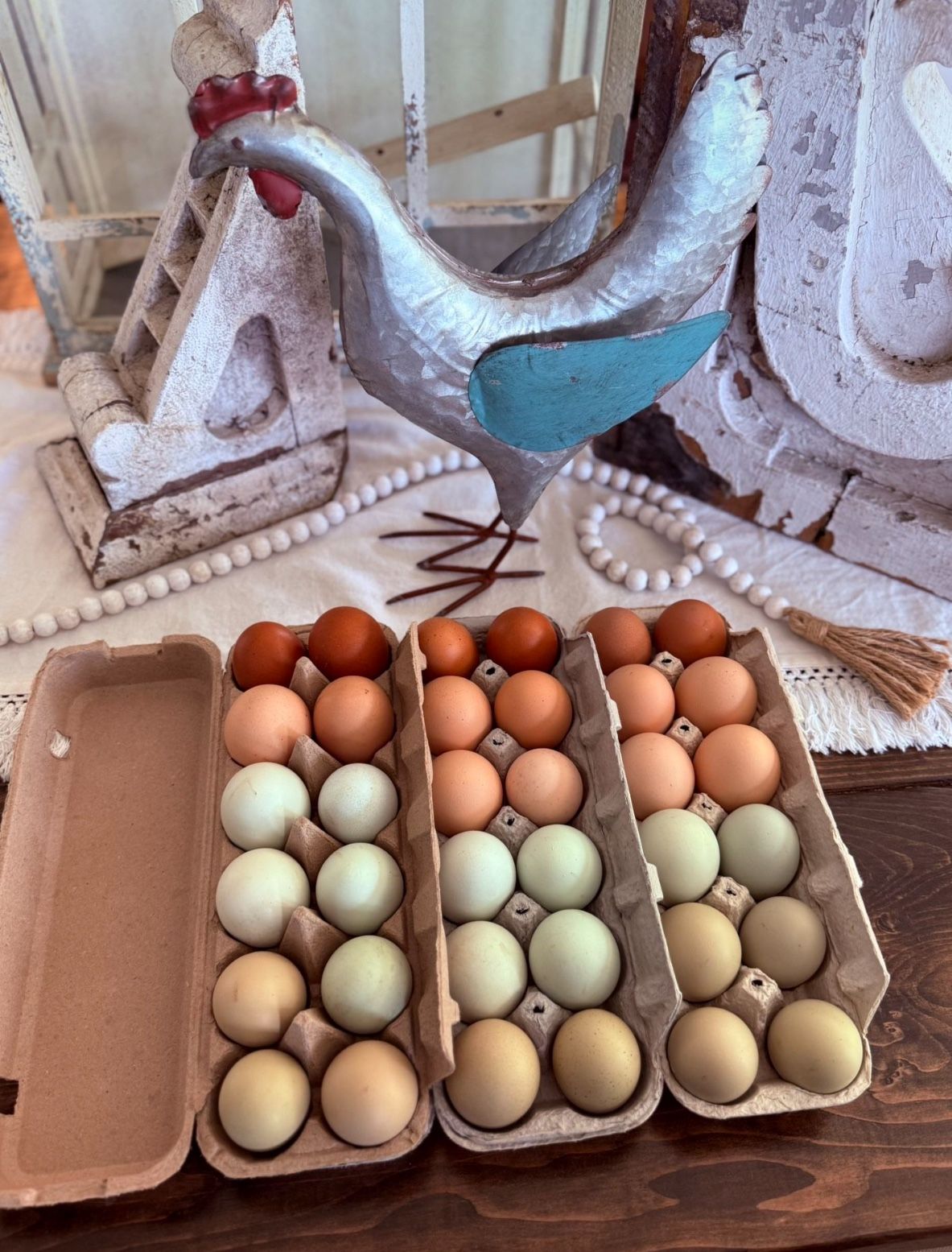 Fresh Eggs From Happy Free Range Chickens