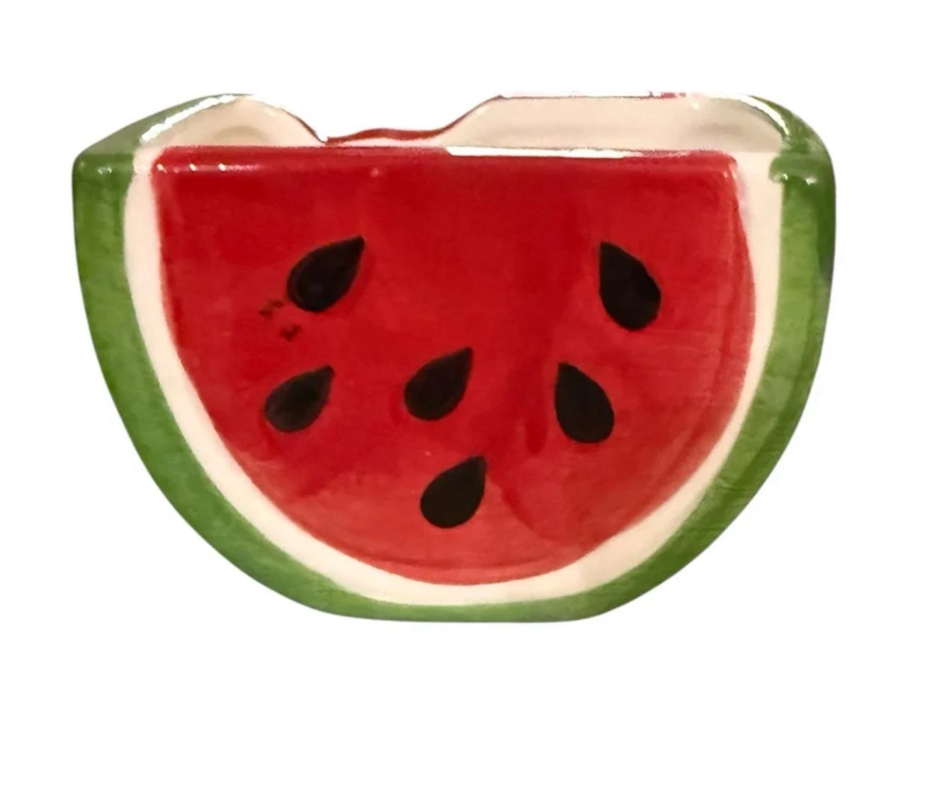 Watermelon Fruit Themed Planter Pot