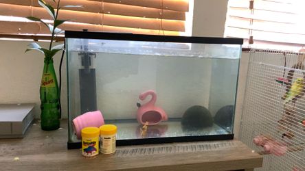 Fish tank need gone asap