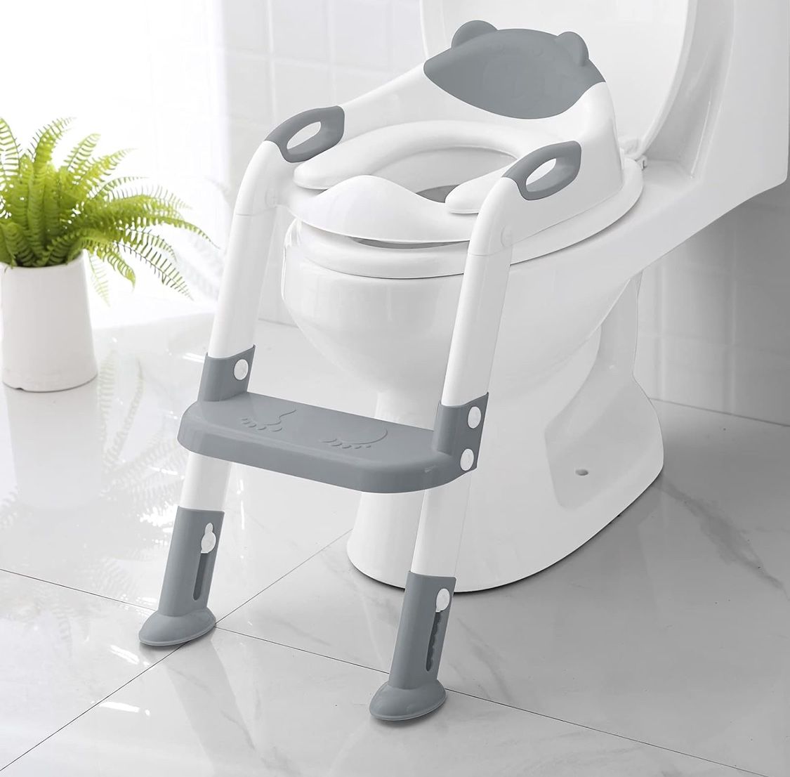 Potty Training Seat with Step Stool 