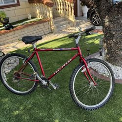 Thunder Mountain Bike 