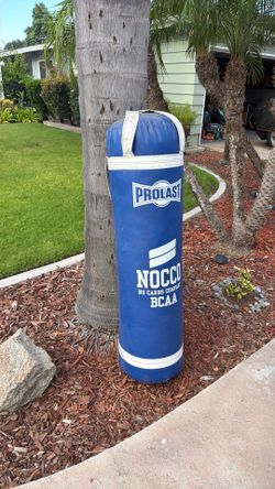 Punching bag
