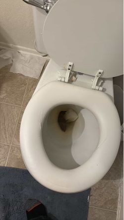shit