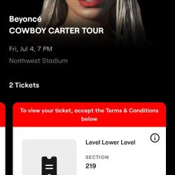 2 Cowboy Carter Concert Tickets $400 Each