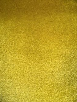 Different Color Carpet