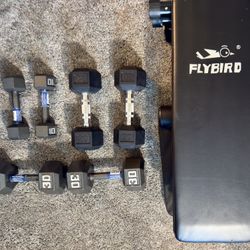Workout Bench & Dumbbells 