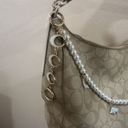 Bag With Charms 
