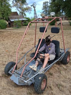 Two Seater Gas Go Kart , New Predator Engine