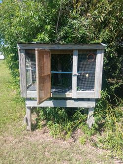 Outdoor bird cage