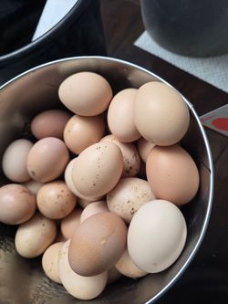 Fresh Farm Eggs - unwashed