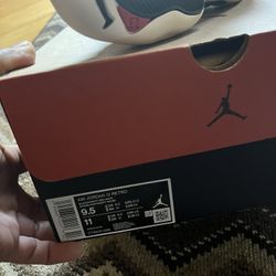 Jordan 12