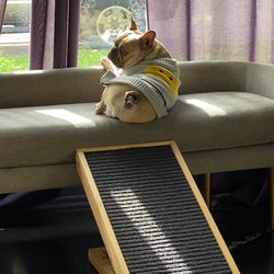 Wooden adjustable and foldable dog ramp