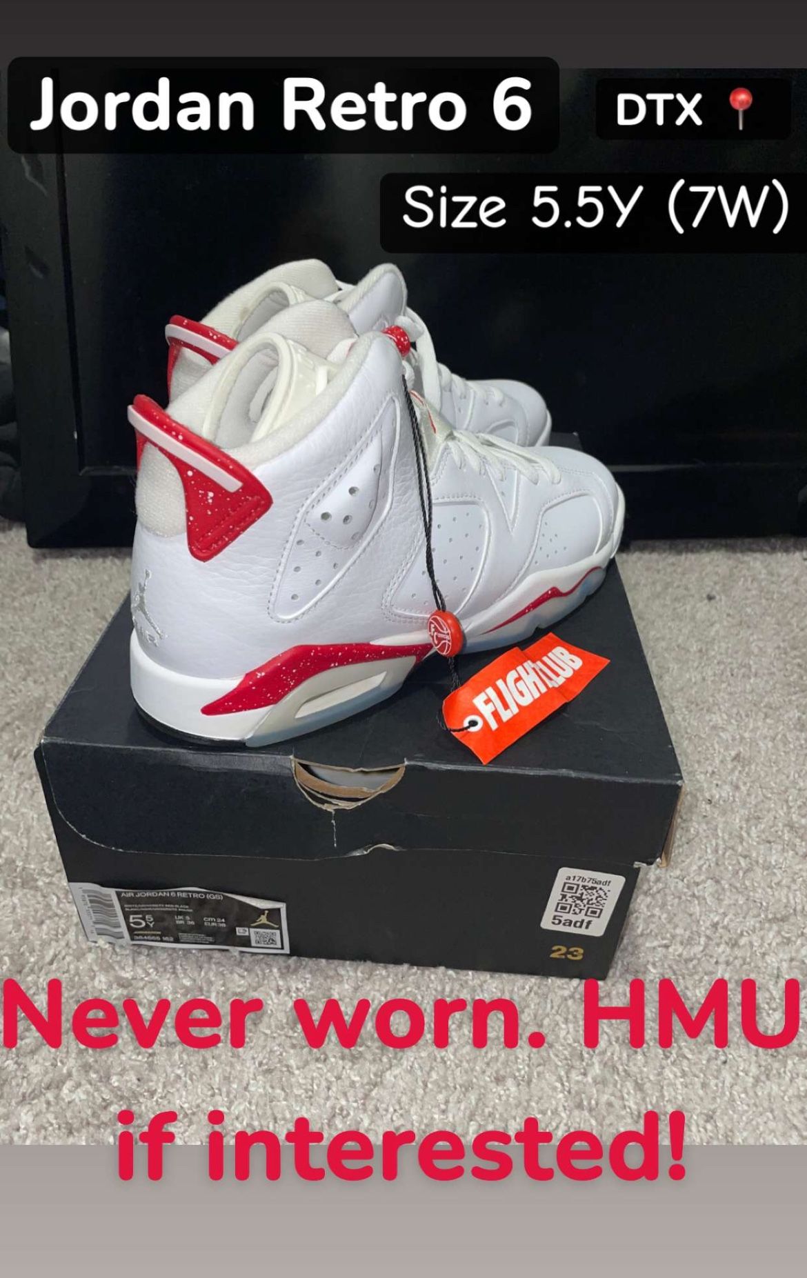 Jordan Retro 6