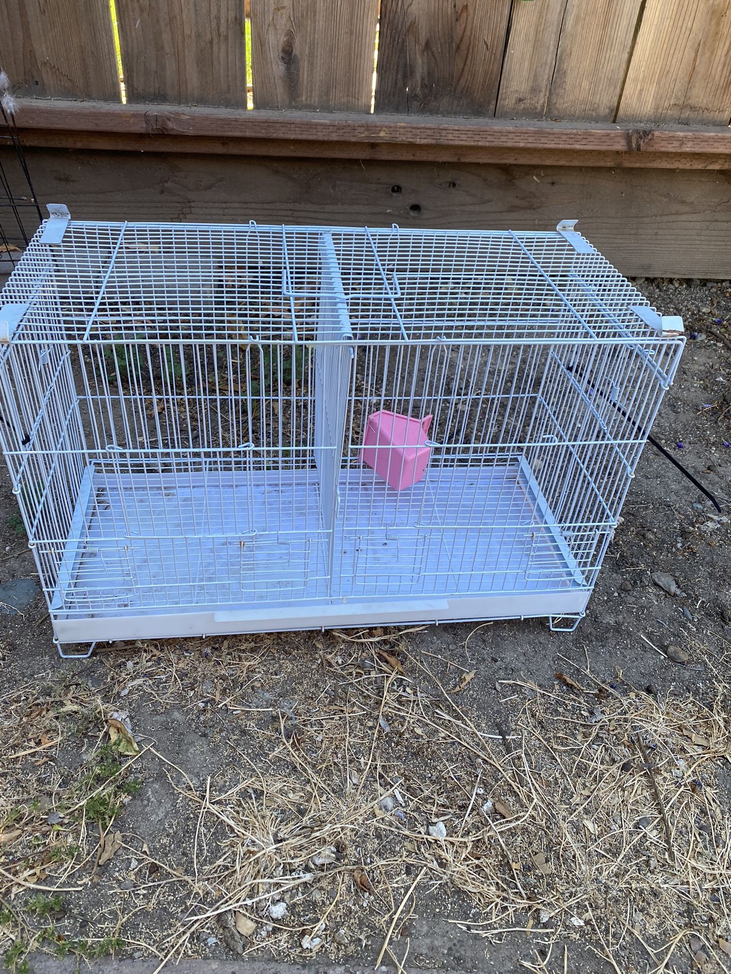 Canary Cage