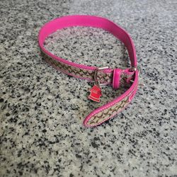 Coach Dog Collar 