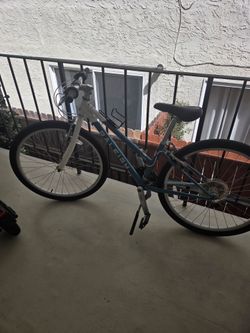 Raleigh eva 26 bike