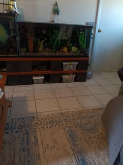 55 gallon & stand setup..like new