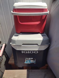 Igloo Cooler