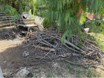 Free fire wood