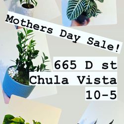 Plant Sale MOTHERS DAY 
