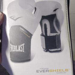 Everlasting Boxing Gloves 