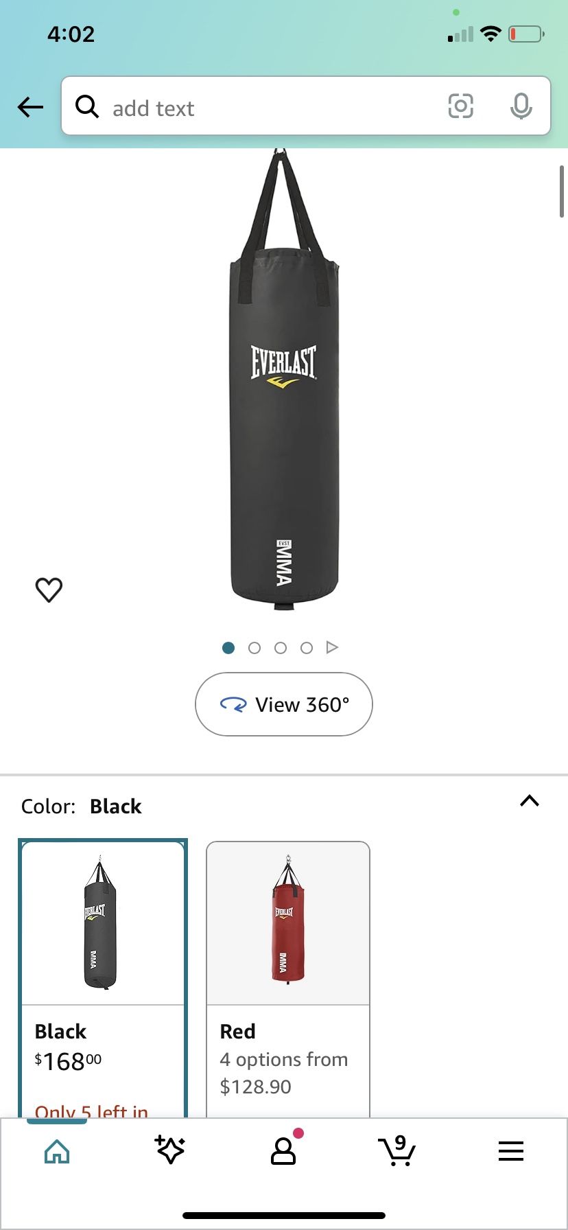 EVERLAST punching Bag & Gloves