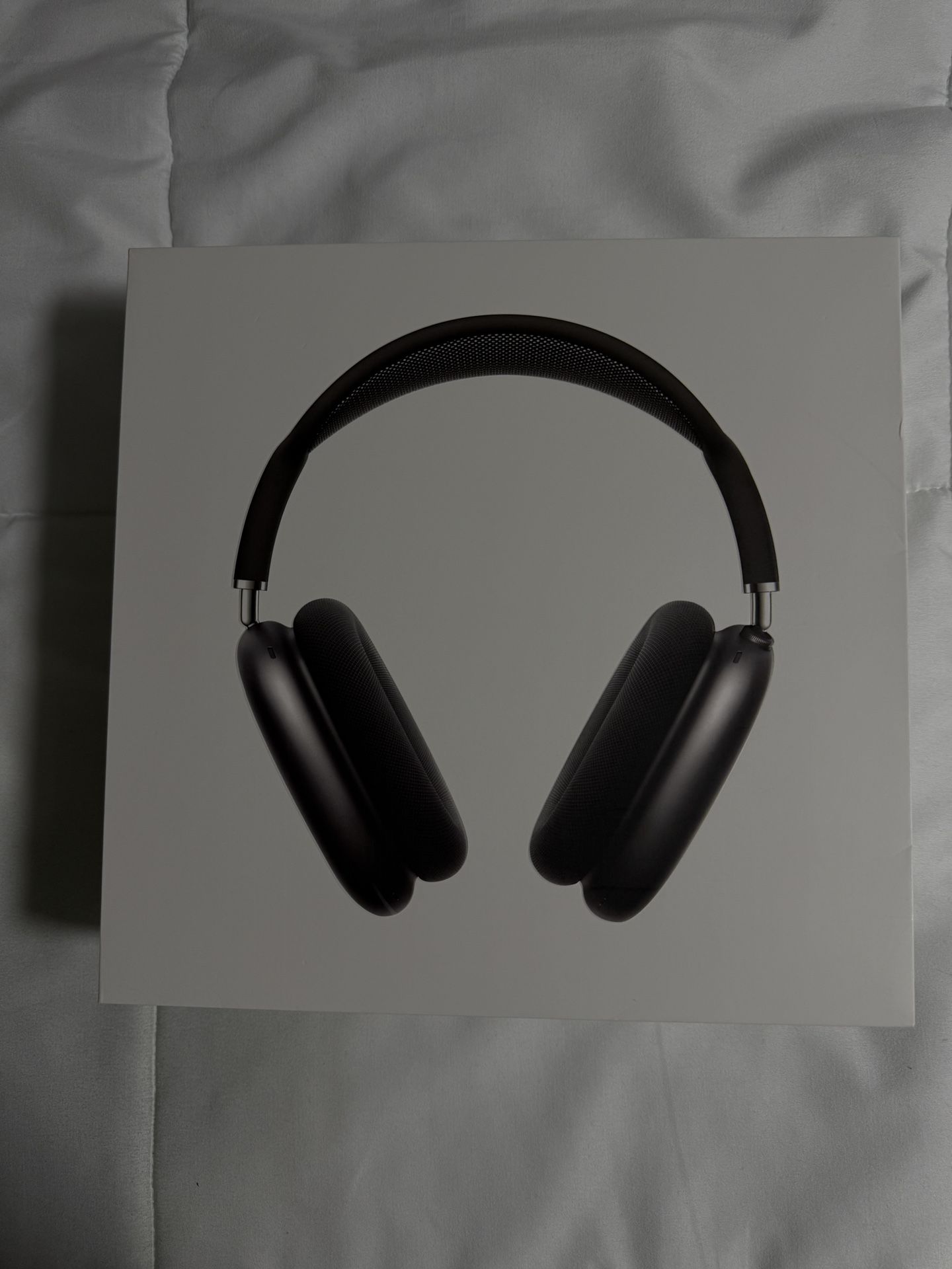Head Phones