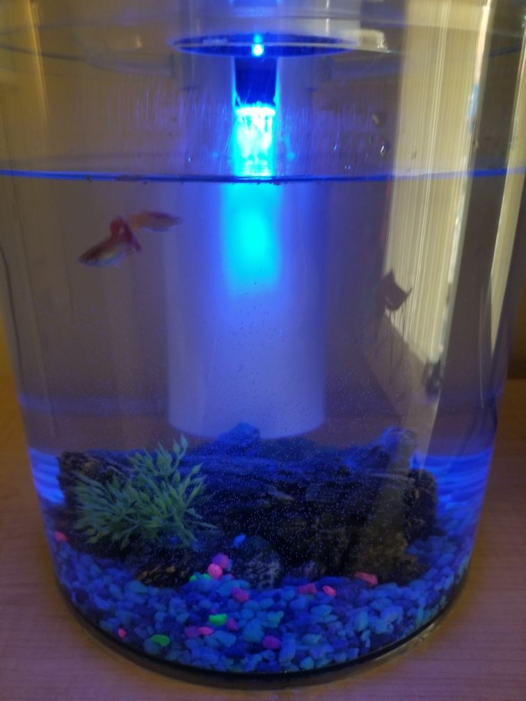 Fish tank ,Aquarium