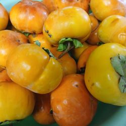 Persimmon