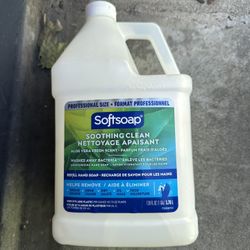 Softsoap Liquid Hand Soap Refill, Soothing Clean, Aloe Vera Fresh Scent - 1 gallon