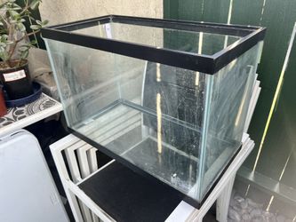 20 Gallon Aquarium - Glass Tank 