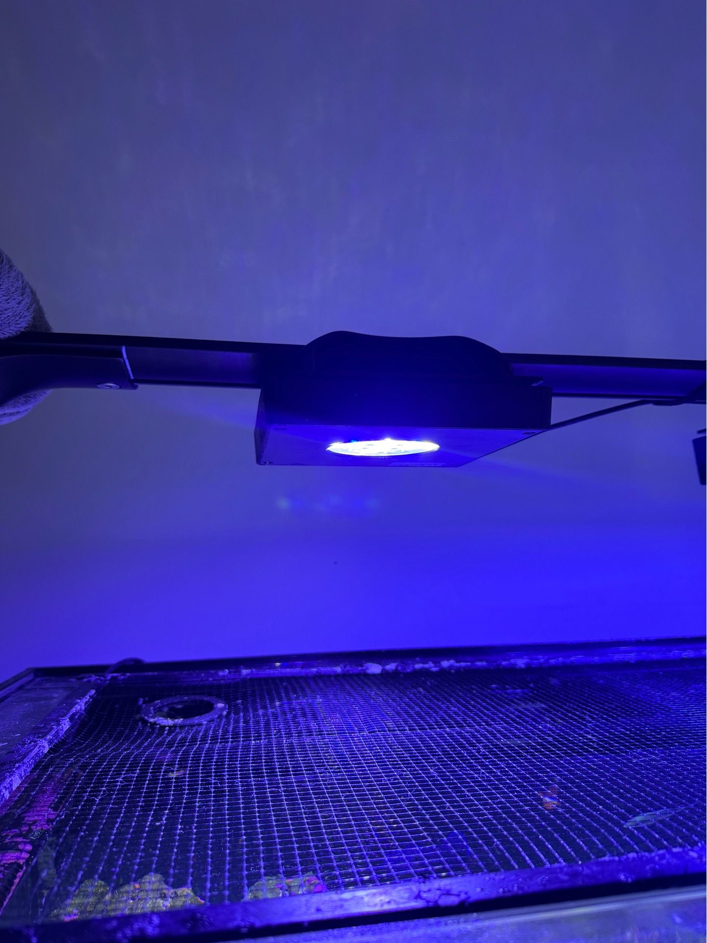 Ecotech g3 xr15