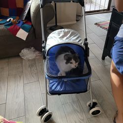 Cat Stroller Brand New