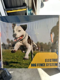 Electric Dog Fence System