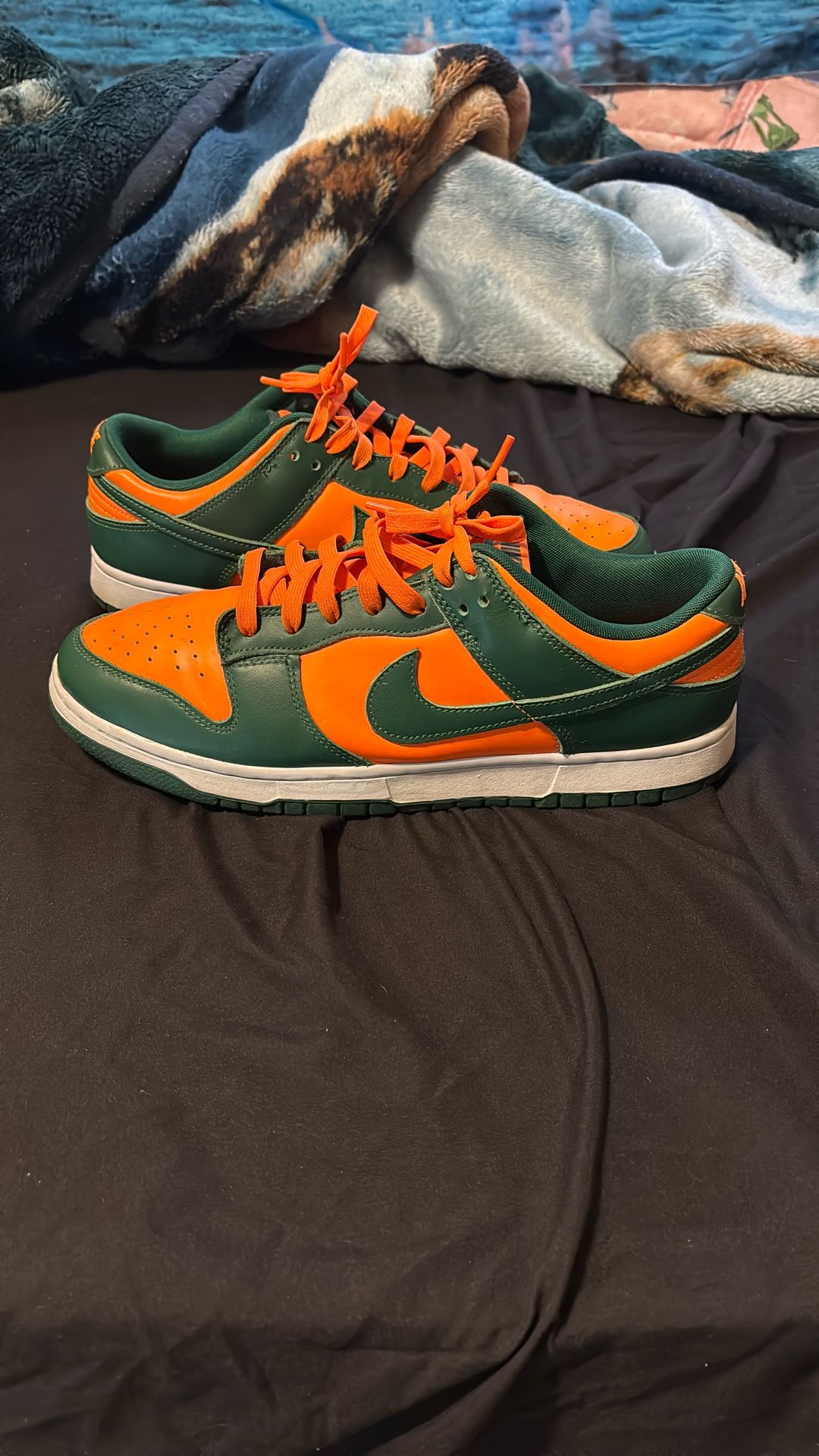 Miami Hurricane Nike Dunks